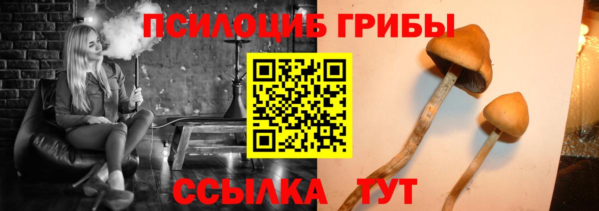 Псилоцибиновые грибы Cubensis  Вход с VPN  Конаково 